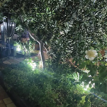 Adriya 招待所 普里莫尔斯科