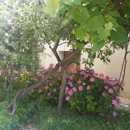 Adriya * Primorsko