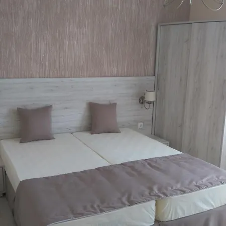 Adriya Guest house *